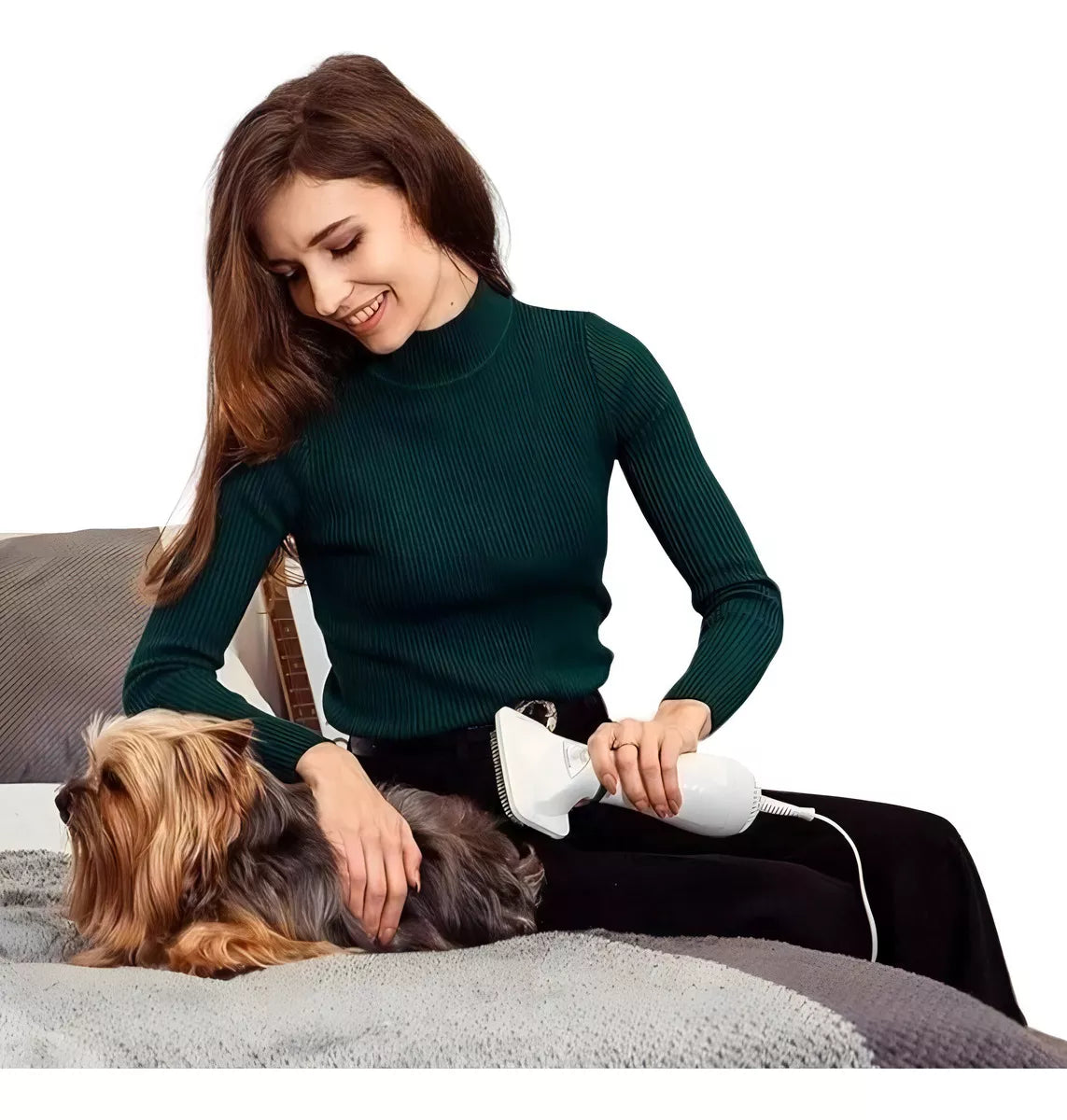 Mascota Cepillo Secador Para Mascotas Perros Gatos 2 En 1