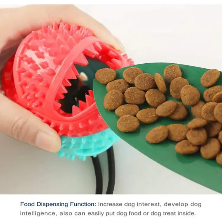 Juguete para Mascotas que se adhiere al piso