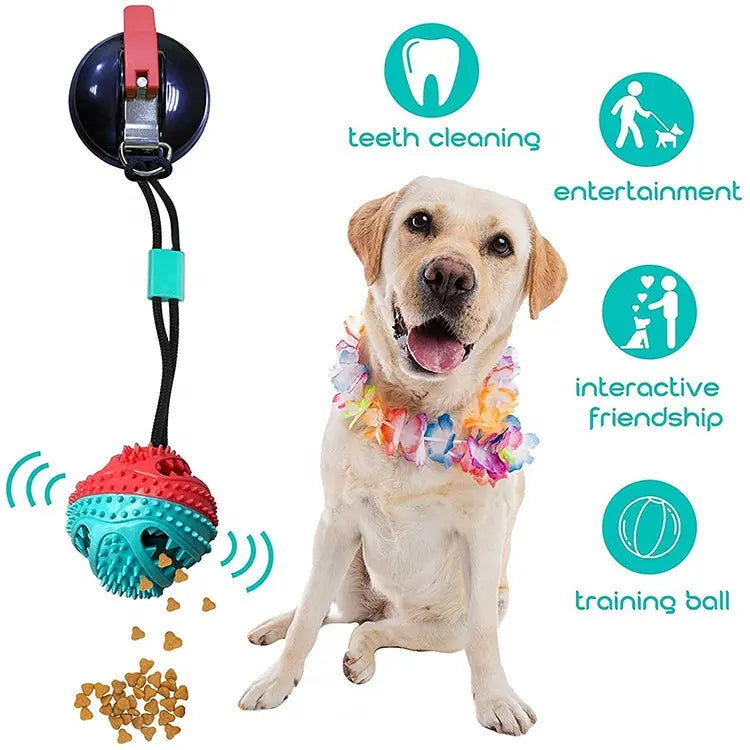 Juguete para Mascotas que se adhiere al piso