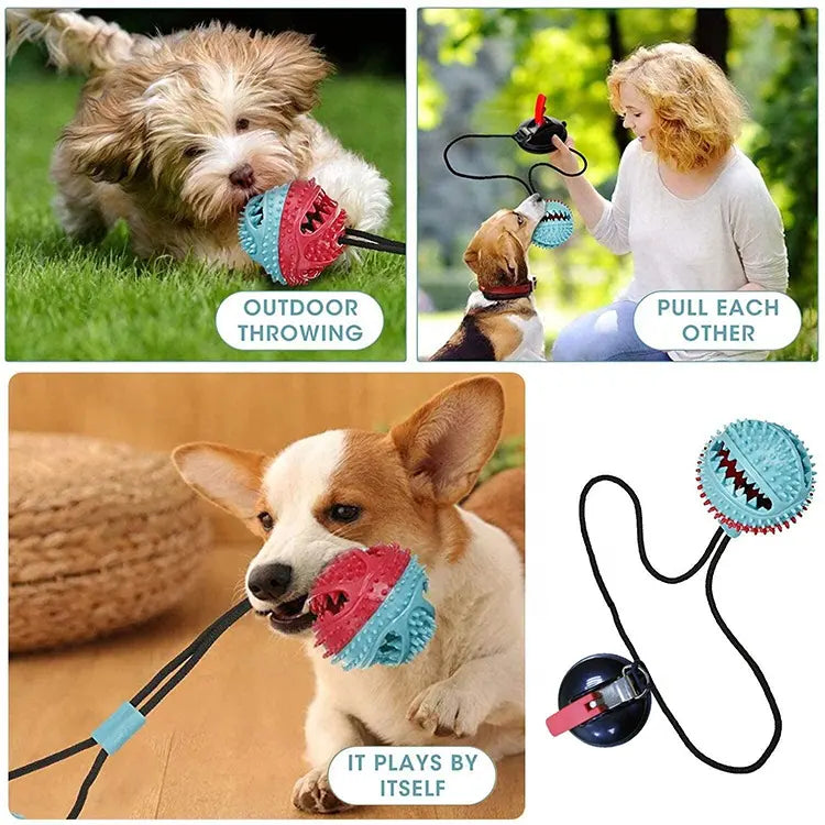 Juguete para Mascotas que se adhiere al piso