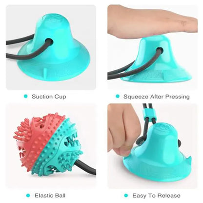 Juguete para Mascotas que se adhiere al piso