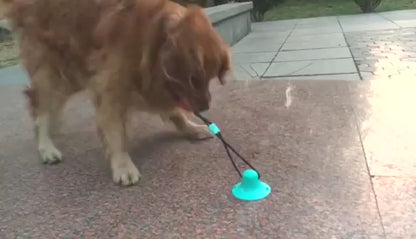 Juguete para Mascotas que se adhiere al piso
